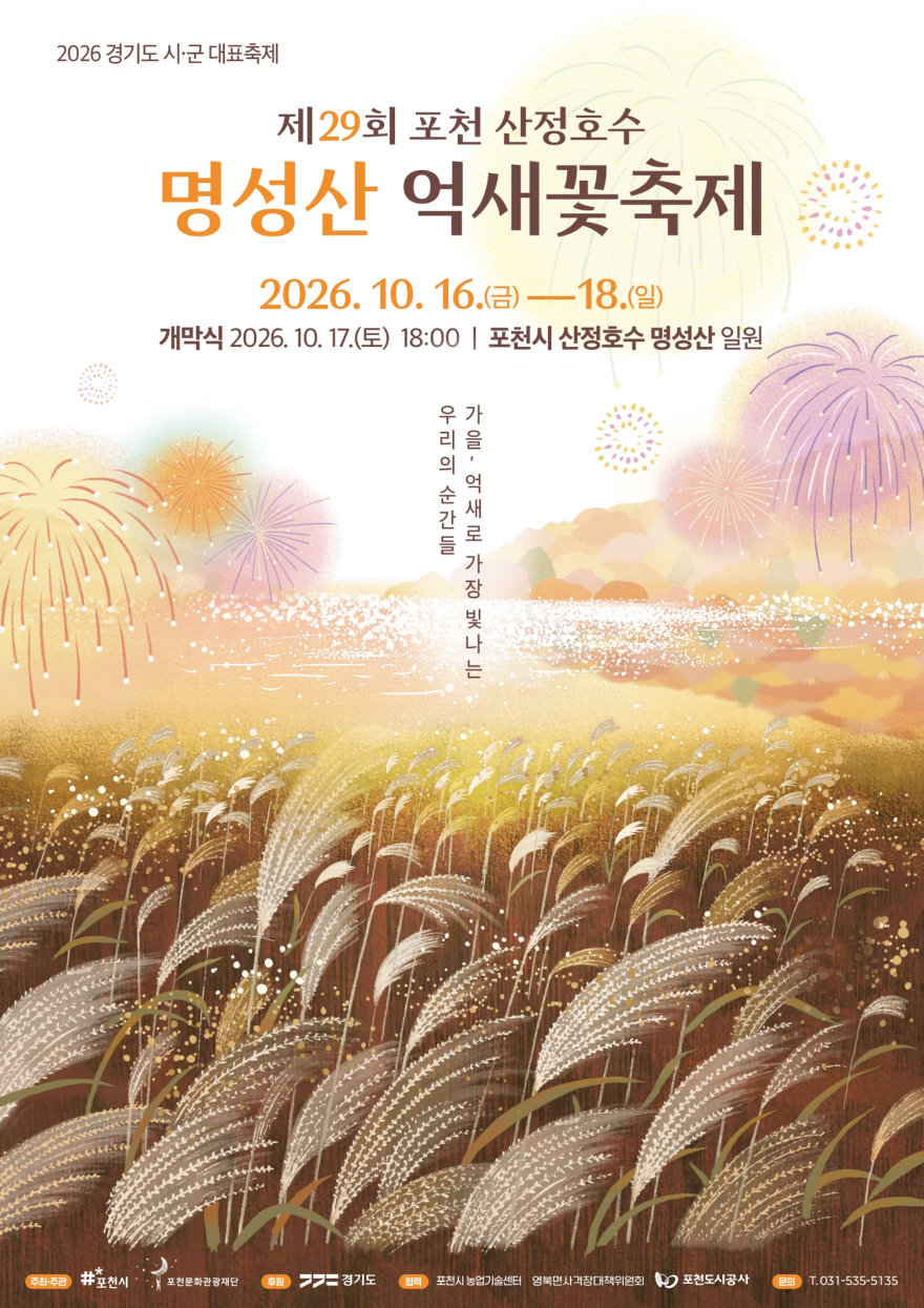 억새.jpg