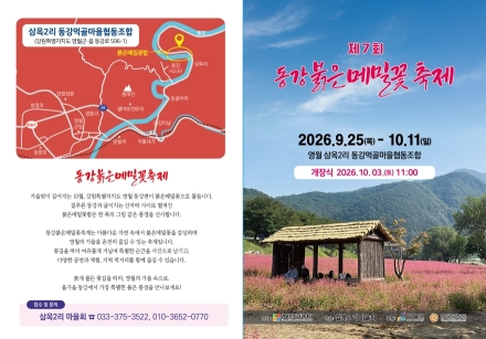 영월 동강변 붉게 물든다…제7회 동강붉은메밀꽃축제 25일 개막